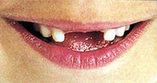 Funciones del sistema